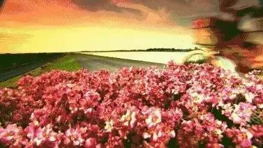 接下来的<b>宜兴</b>城将要