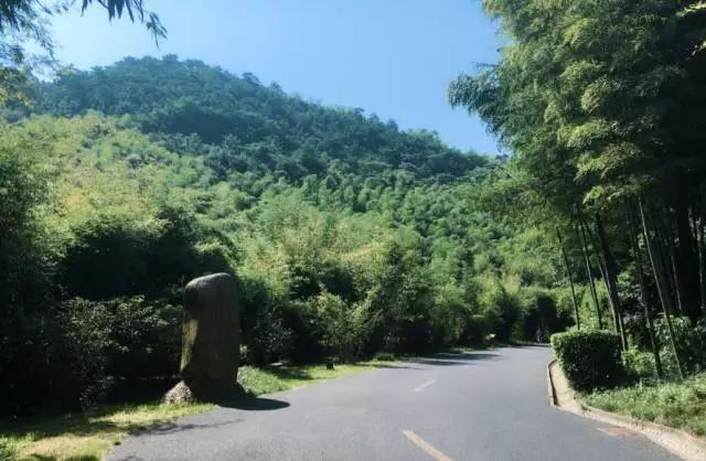 五一小长假,远离城嚣,到<b>宜兴</b>竹海亲自然,深呼吸,换份好心情