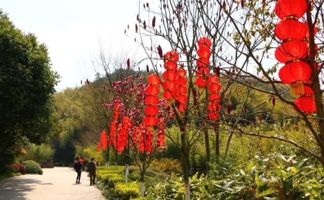 五一小长假,远离城嚣,到<b>宜兴</b>竹海亲自然,深呼吸,换份好心情