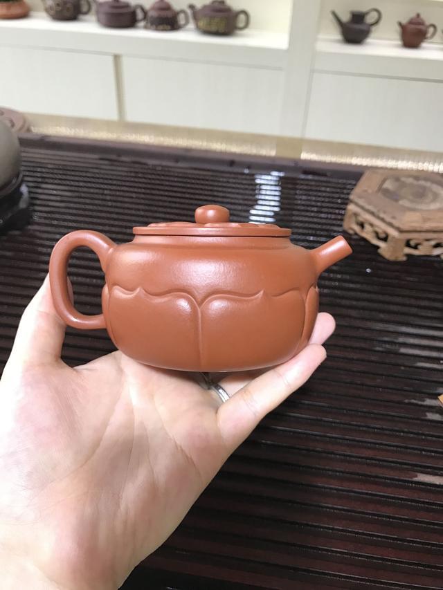 手机实拍:美丽的芙蕖<b>紫砂</b>壶~