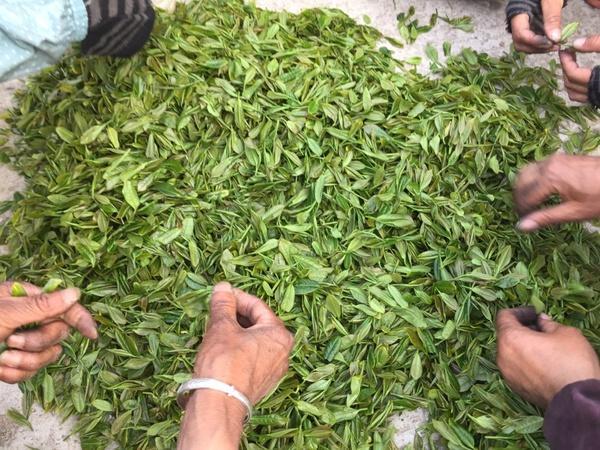 茶席、茶园、茶仙子,<b>宜兴市</b>首届茶文化艺术节
