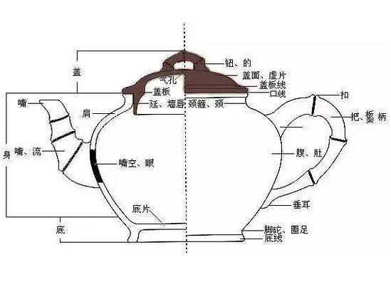 带你认识最全的<b>紫砂</b>壶壶盖