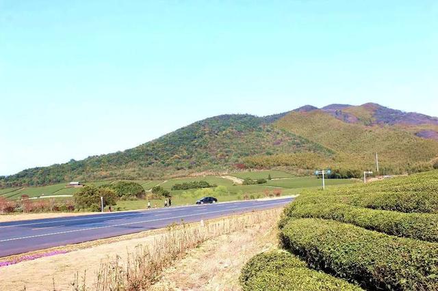 寻找那条<b>宜兴</b>春天最美的公路