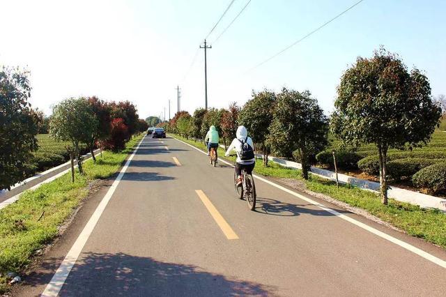 寻找那条<b>宜兴</b>春天最美的公路