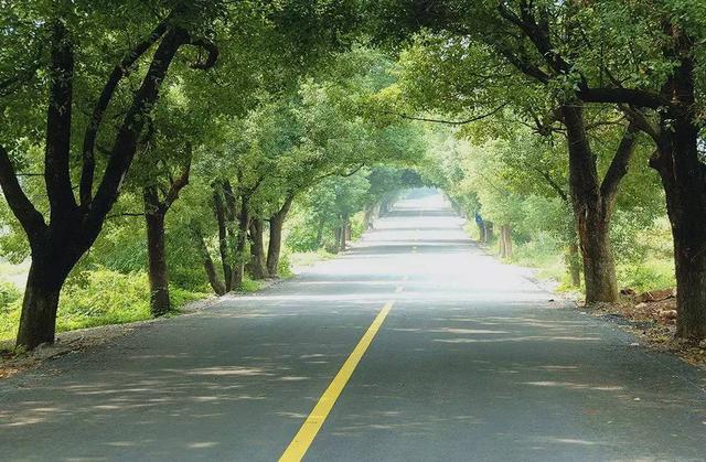 寻找那条<b>宜兴</b>春天最美的公路