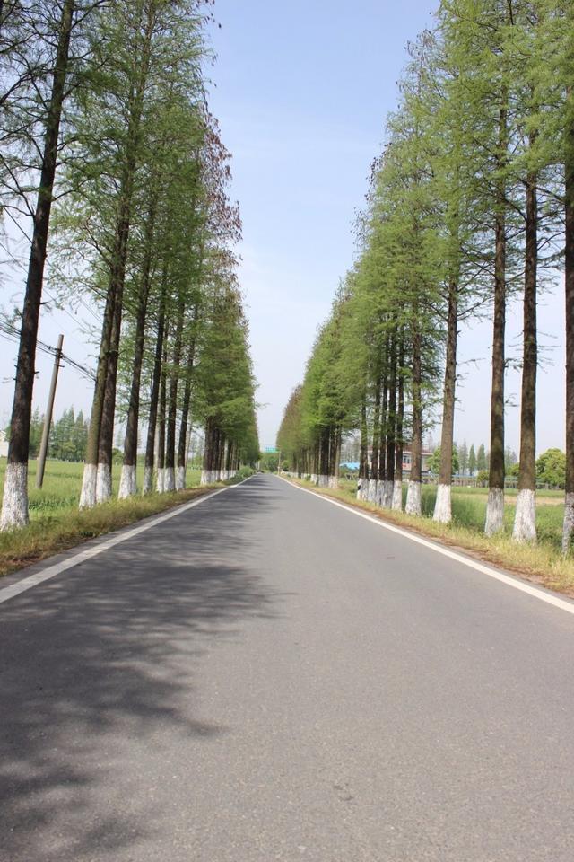 寻找那条<b>宜兴</b>春天最美的公路