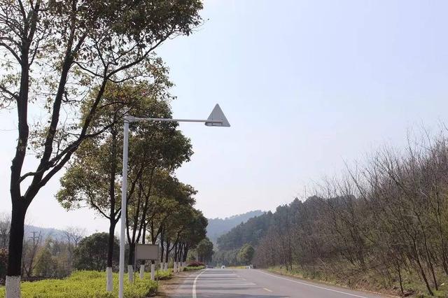 寻找那条<b>宜兴</b>春天最美的公路