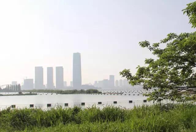 筑土项目--创造环湖活力空间|<b>宜兴</b>东氿湖景观整体规划