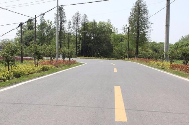 寻找那条<b>宜兴</b>春天最美的公路