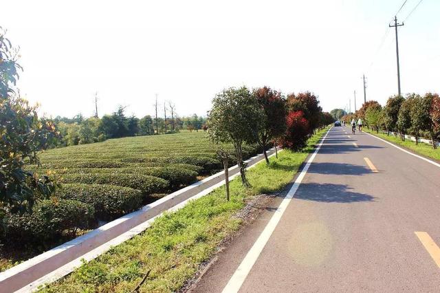 寻找那条<b>宜兴</b>春天最美的公路