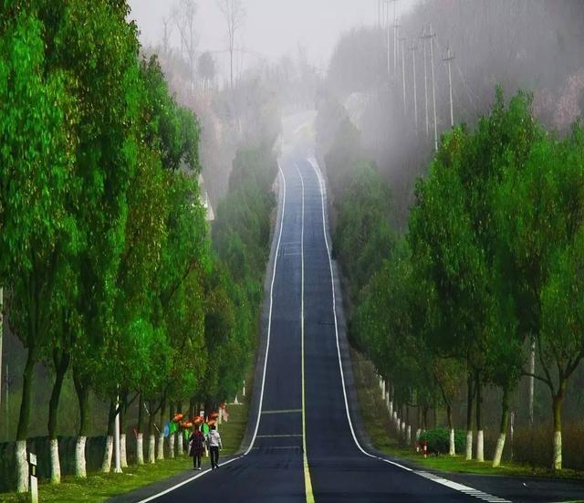 寻找那条<b>宜兴</b>春天最美的公路