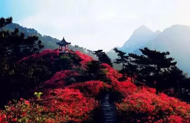 最快30分钟!<b>宜兴</b>坐高铁直达9个绝美仙境,五一假期说走就走!