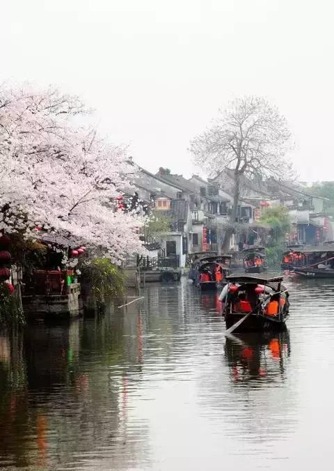 最快30分钟!<b>宜兴</b>坐高铁直达9个绝美仙境,五一假期说走就走!