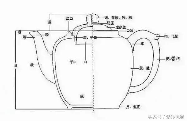 29张图文带你搞懂<b>紫砂</b>造型结构的100个概念(建议收藏)