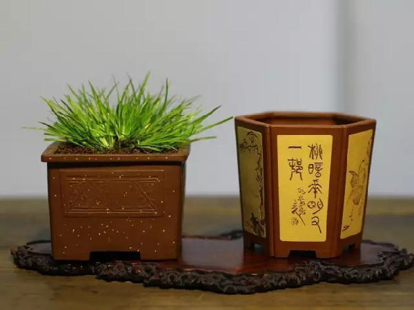 <b>紫砂</b>花盆的刻绘艺术