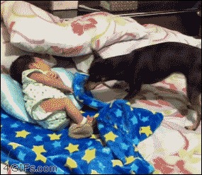 大家看我这个<b>紫砂</b>壶,出自名家之手,价值