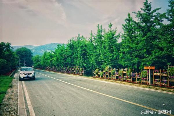 行走在那片竹海|<b>宜兴</b> 龙山
