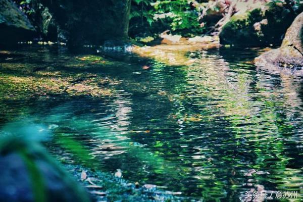 行走在那片竹海|<b>宜兴</b> 龙山