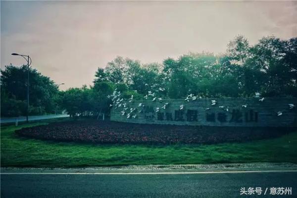 行走在那片竹海|<b>宜兴</b> 龙山