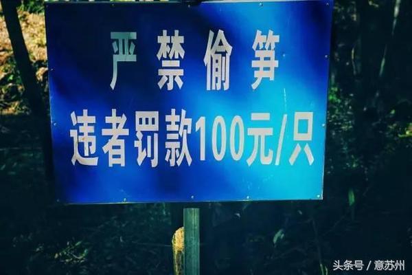 行走在那片竹海|<b>宜兴</b> 龙山