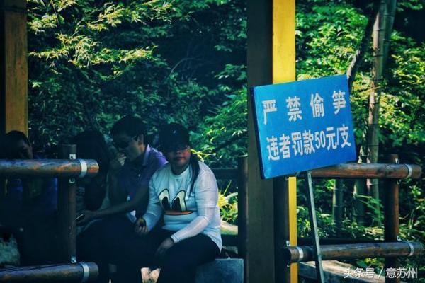 行走在那片竹海|<b>宜兴</b> 龙山