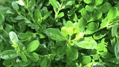 世上有一种美,叫<b>宜兴</b>的初夏!