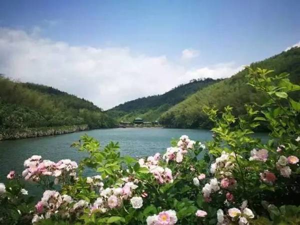 世上有一种美,叫<b>宜兴</b>的初夏!