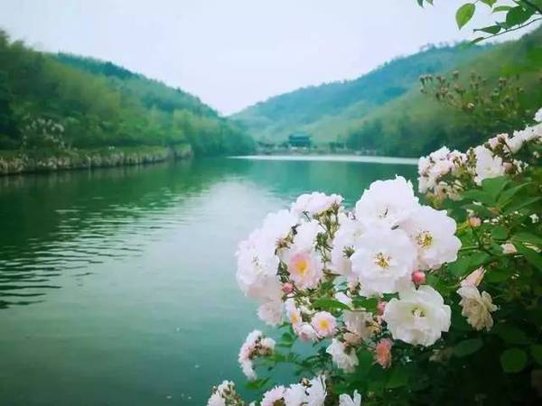世上有一种美,叫<b>宜兴</b>的初夏!