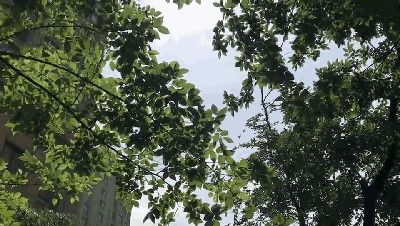 世上有一种美,叫<b>宜兴</b>的初夏!