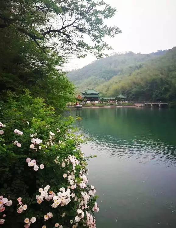 世上有一种美,叫<b>宜兴</b>的初夏!
