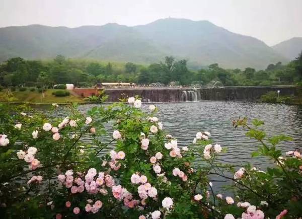 世上有一种美,叫<b>宜兴</b>的初夏!