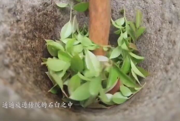 《味解乡愁》第四十三期:<b>宜兴</b>乌米饭