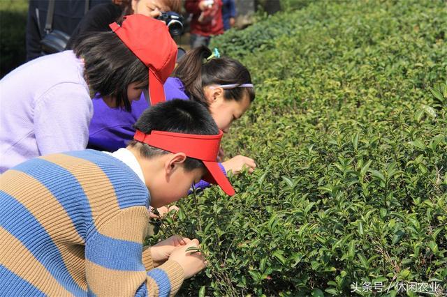 休闲好去处--江苏省<b>宜兴市</b>篱笆园民宿集聚村