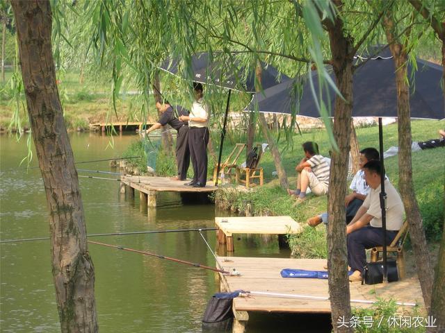 休闲好去处--江苏省<b>宜兴市</b>篱笆园民宿集聚村