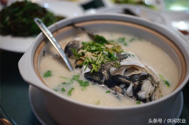休闲好去处--江苏省<b>宜兴市</b>篱笆园民宿集聚村