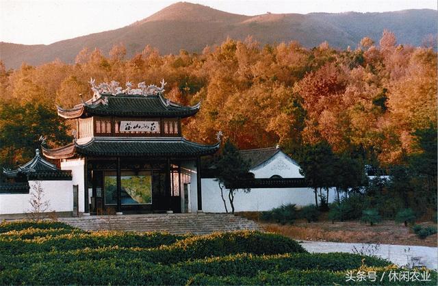 休闲好去处--江苏省<b>宜兴市</b>篱笆园民宿集聚村