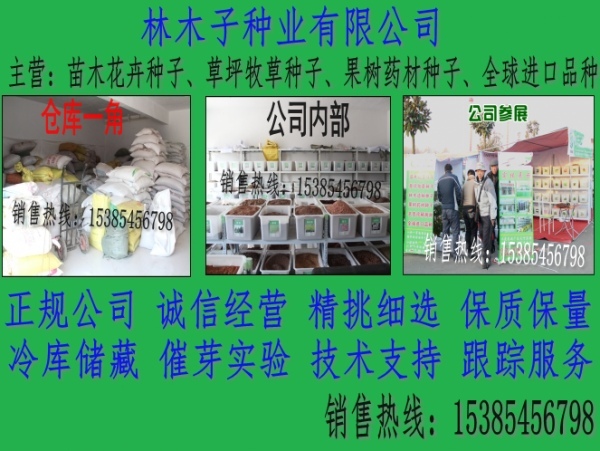 <b>宜兴</b>水库涨落带复绿要什么草种