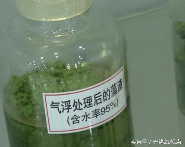 神技能!蓝藻能做成高级鞋垫 <b>宜兴</b>这家工厂把蓝藻变废为宝