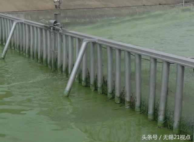 神技能!蓝藻能做成高级鞋垫 <b>宜兴</b>这家工厂把蓝藻变废为宝