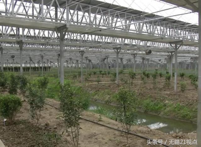 神技能!蓝藻能做成高级鞋垫 <b>宜兴</b>这家工厂把蓝藻变废为宝