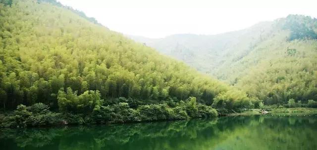 我想,我离不开<b>宜兴</b>了