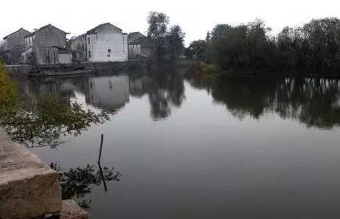我想,我离不开<b>宜兴</b>了