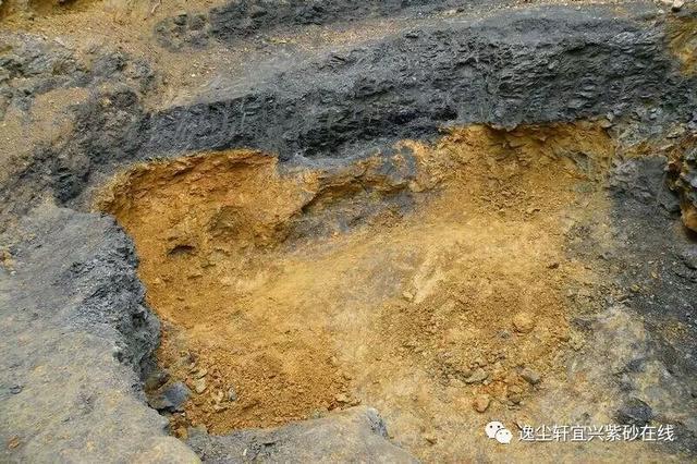 呈垚 ‖ <b>紫砂</b> . 矿料龙眼鹅黄朱泥