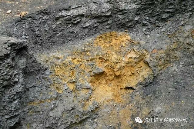呈垚 ‖ <b>紫砂</b> . 矿料龙眼鹅黄朱泥