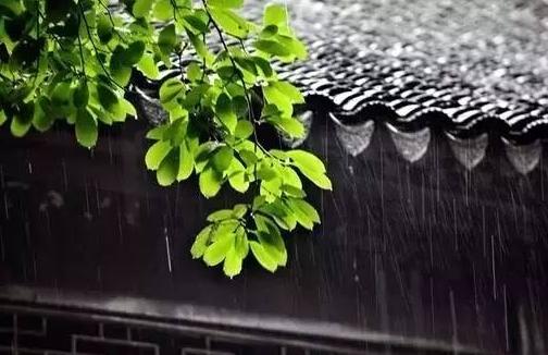 柯俊芬《听雨》<b>紫砂</b>壶作品赏析