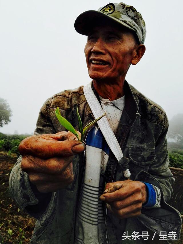 呈垚 ‖ <b>紫砂</b>与茶 & 茶山行漫记(一)