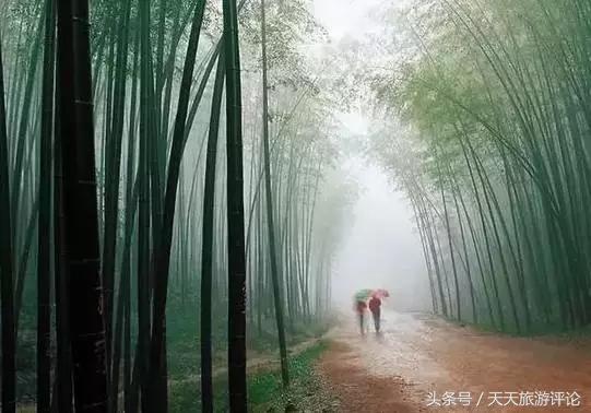 去<b>宜兴</b>竹海听雨,是一件很浪漫的事情