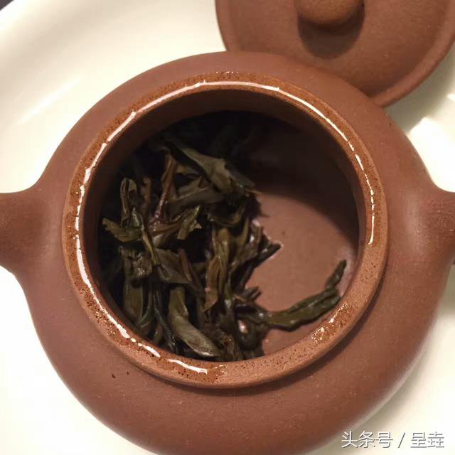 <b>紫砂</b>与茶 ‖ 潜移默化的存在