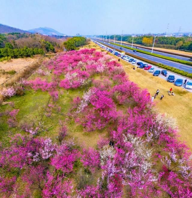 春暖花开，宜兴下周气温飙至23℃!不过，请记住