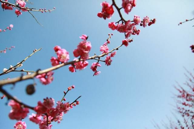 春暖花开，宜兴下周气温飙至23℃!不过，请记住